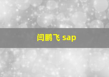 闫鹏飞 sap